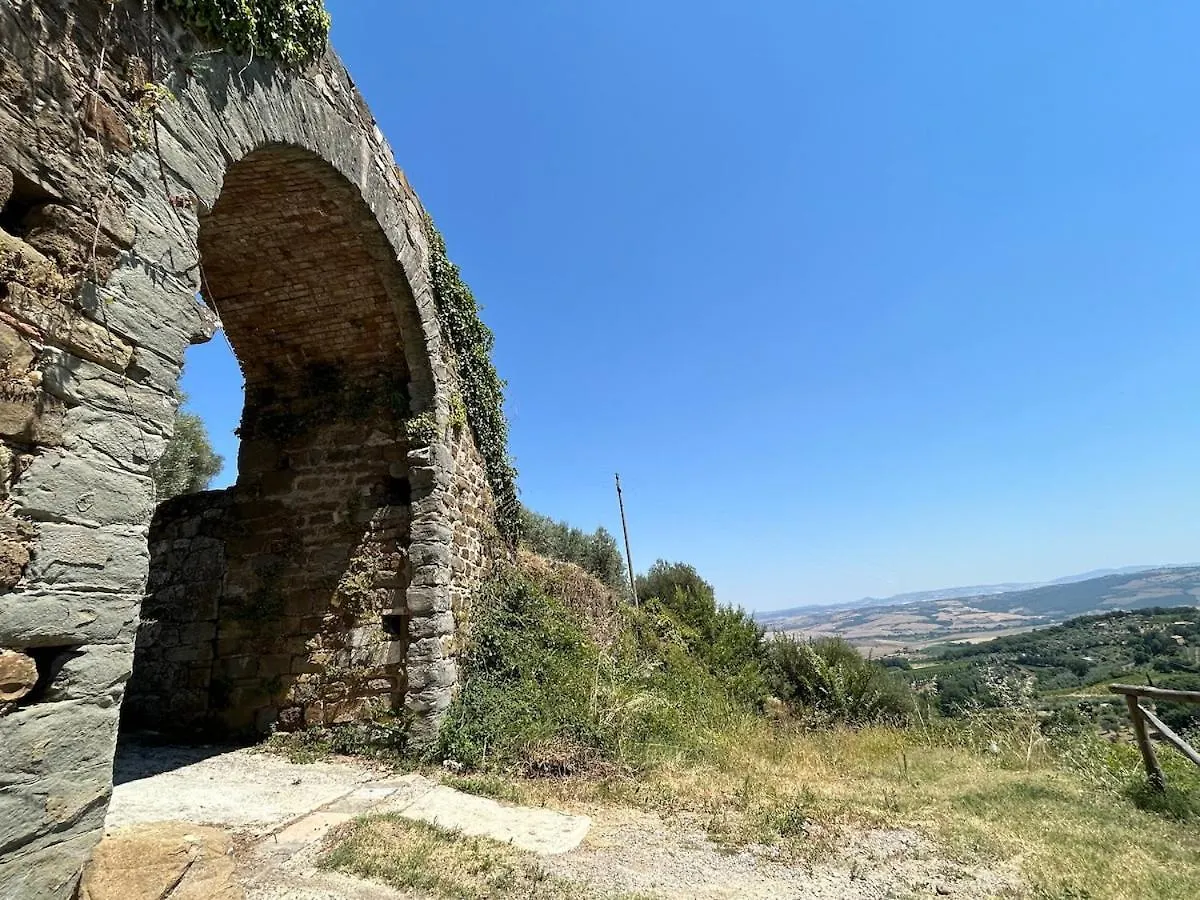 Nuovissimo Loft Panoramico Con Giardino A Montalcino Apartment