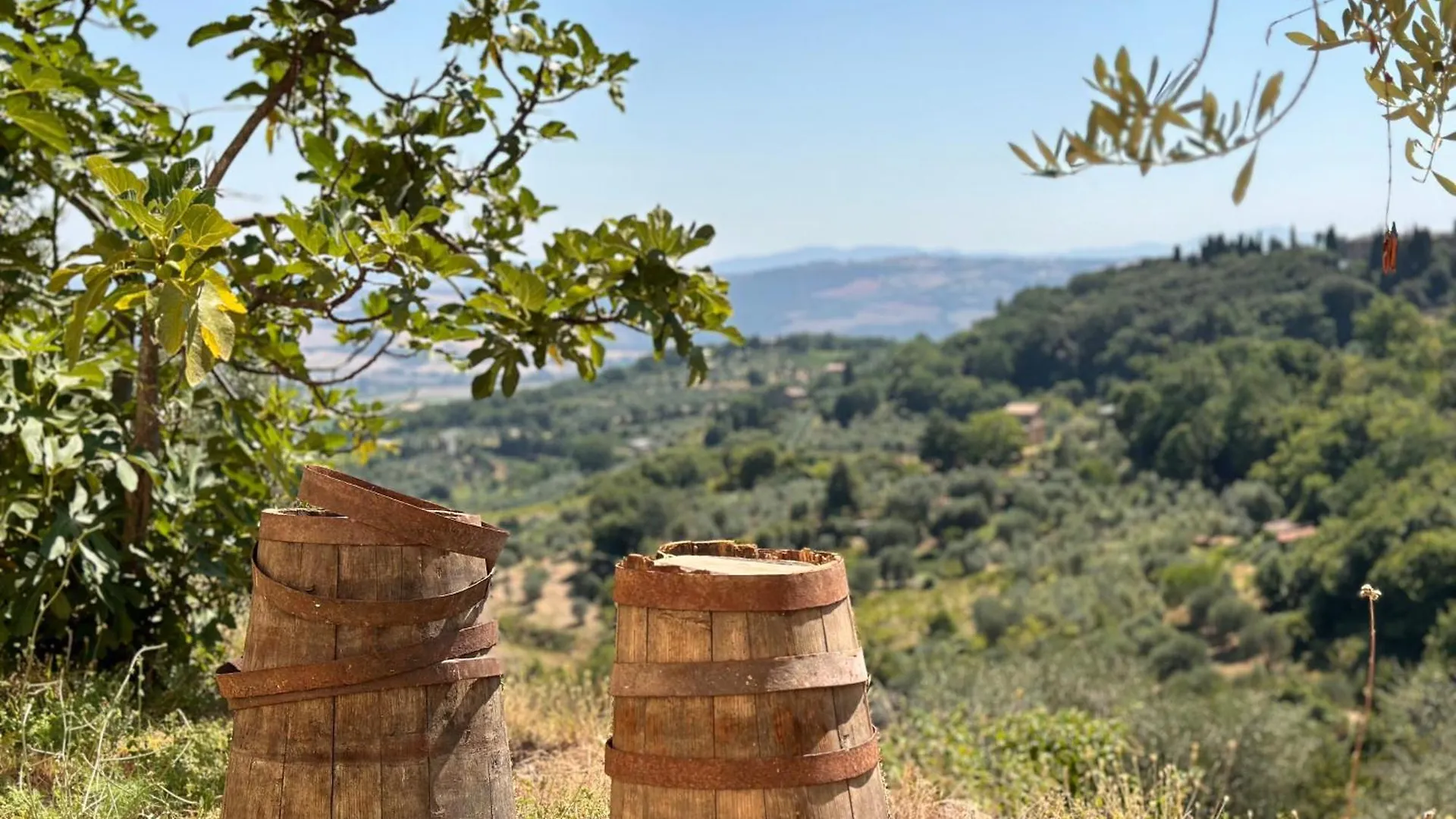 Nuovissimo Loft Panoramico Con Giardino A Montalcino Apartment