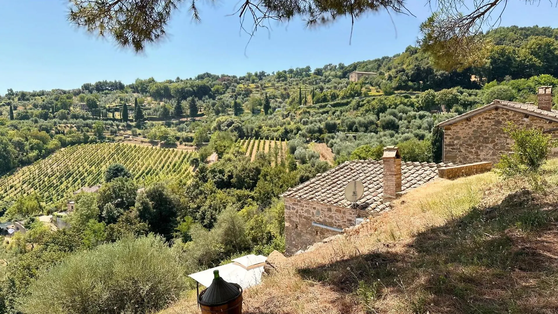 Nuovissimo Loft Panoramico Con Giardino A Montalcino Apartment Italy