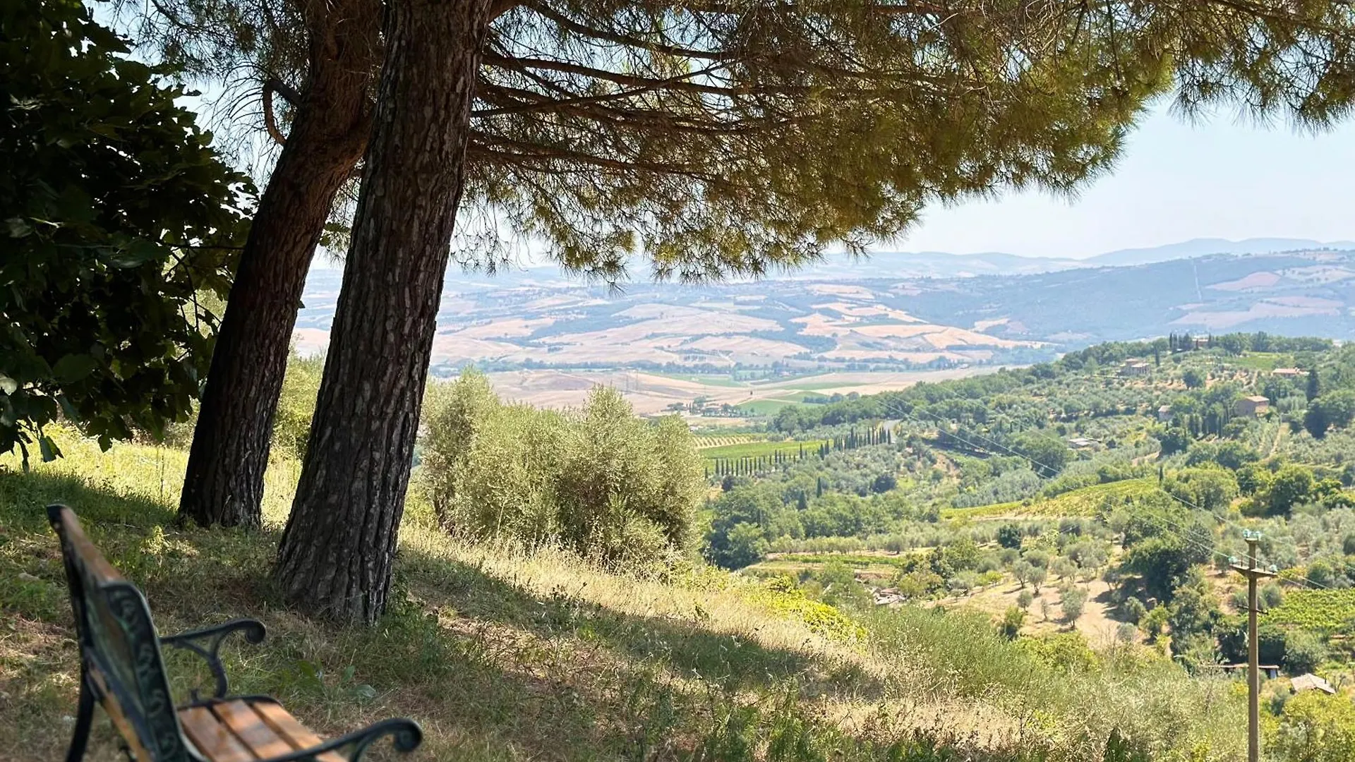 Nuovissimo Loft Panoramico Con Giardino A Montalcino Apartment Italy