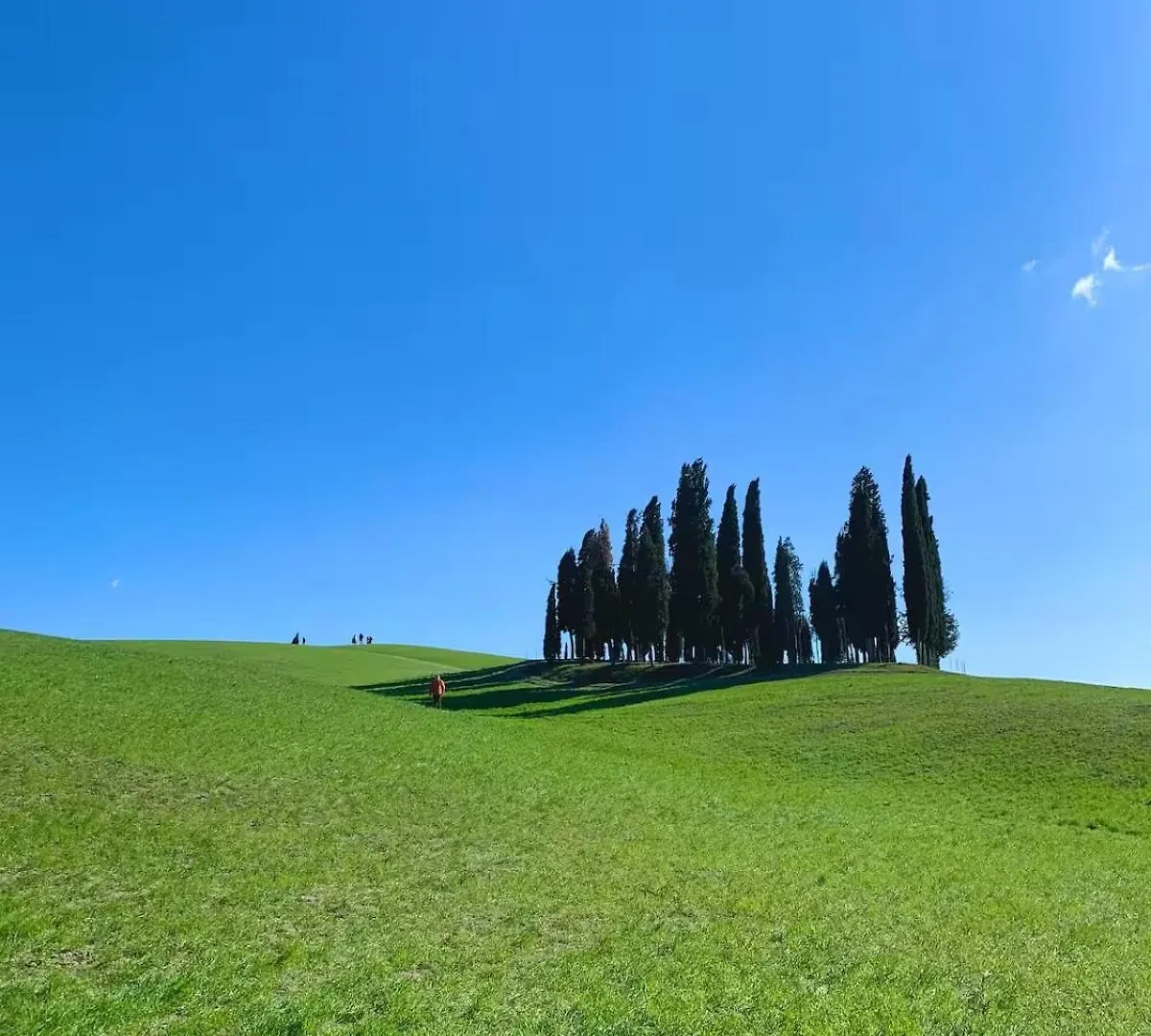 Nuovissimo Loft Panoramico Con Giardino A Montalcino Apartment